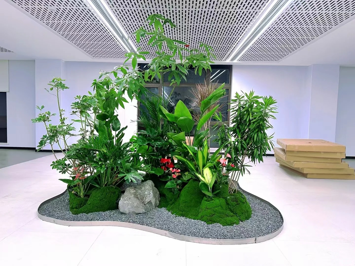 北仑花木租摆商家-宁波室内植物租赁费用-慈溪绿化养护工程-鄞州绿植租摆需求